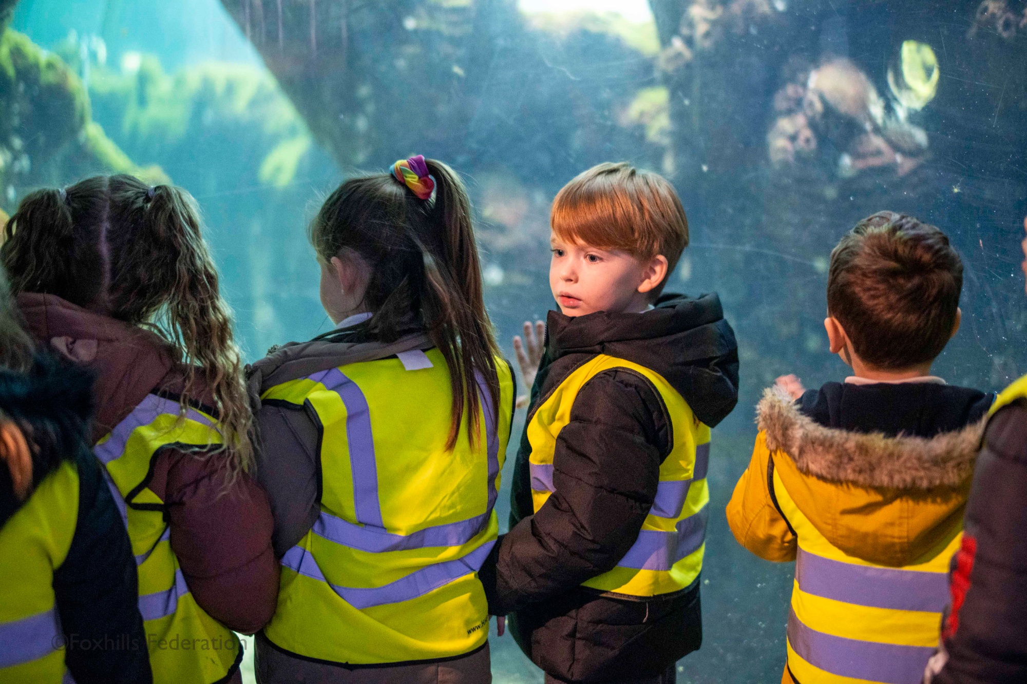 A boy faces back from a large fish tank.